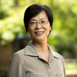 Faculty Placeholder