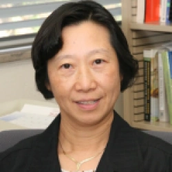 Faculty Placeholder