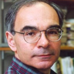 Faculty Placeholder