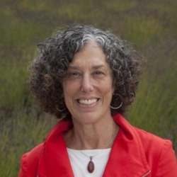 Faculty Placeholder