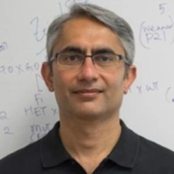 Faculty Placeholder