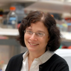 Faculty Placeholder