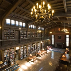 Faculty Placeholder