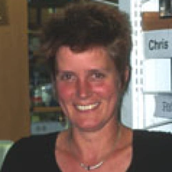 Faculty Placeholder