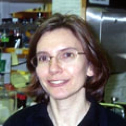 Faculty Placeholder