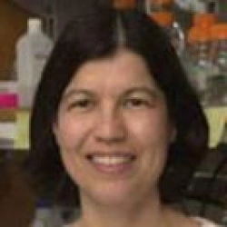 Faculty Placeholder