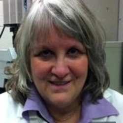 Faculty Placeholder