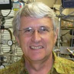 Faculty Placeholder