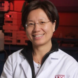 Faculty Placeholder