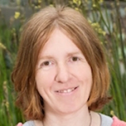 Faculty Placeholder