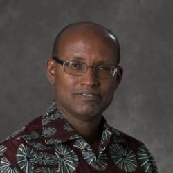 Faculty Placeholder