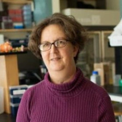 Faculty Placeholder