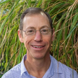 Faculty Placeholder