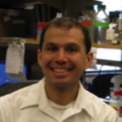 Faculty Placeholder