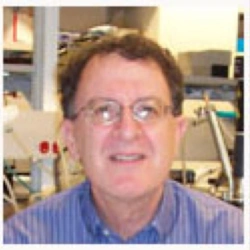 Faculty Placeholder
