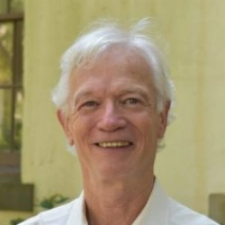 Faculty Placeholder