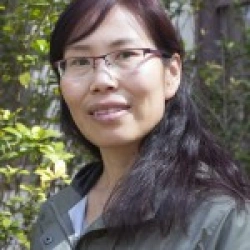 Faculty Placeholder