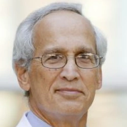Faculty Placeholder