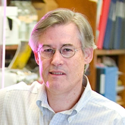 Faculty Placeholder