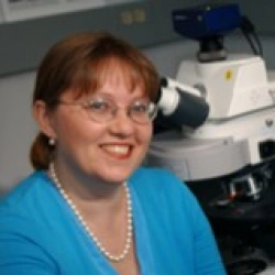 Faculty Placeholder