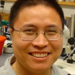 Faculty Placeholder
