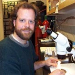 Faculty Placeholder