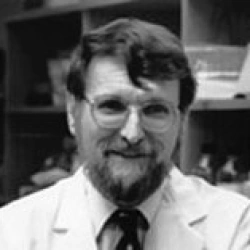 Faculty Placeholder