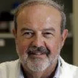 Faculty Placeholder