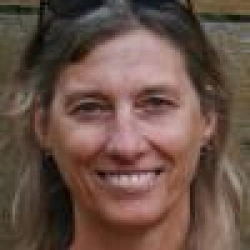 Faculty Placeholder