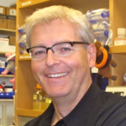 Faculty Placeholder