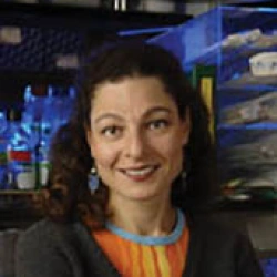 Faculty Placeholder