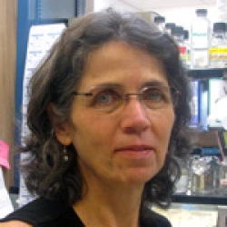 Faculty Placeholder