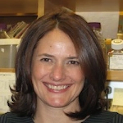 Faculty Placeholder