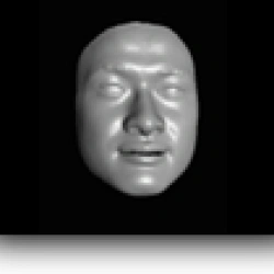 Faculty Placeholder
