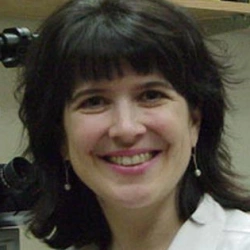 Faculty Placeholder