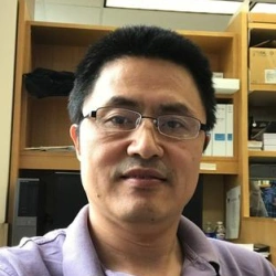 Faculty Placeholder