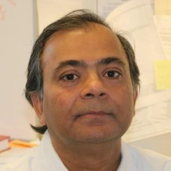 Faculty Placeholder