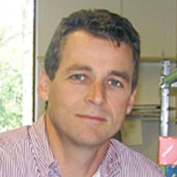 Faculty Placeholder