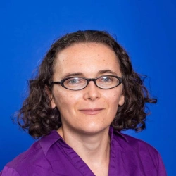 Faculty Placeholder