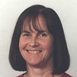 Faculty Placeholder
