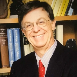 Faculty Placeholder