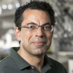 Faculty Placeholder