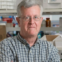 Faculty Placeholder