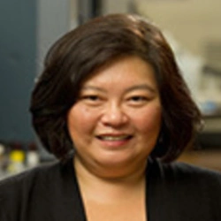 Faculty Placeholder