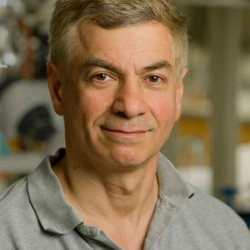 Faculty Placeholder