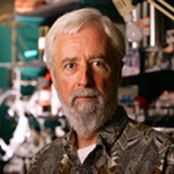Faculty Placeholder