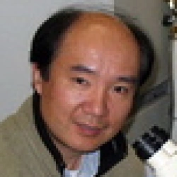 Faculty Placeholder