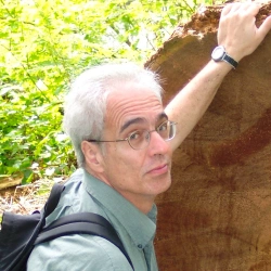 Faculty Placeholder