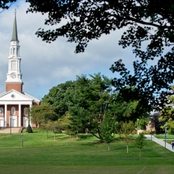 Faculty Placeholder