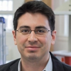 Faculty Placeholder